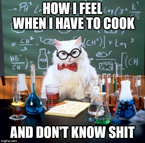 Chemistry Cat Meme | HOW I FEEL WHEN I HAVE TO COOK; AND DON'T KNOW SHIT | image tagged in memes,chemistry cat | made w/ Imgflip meme maker