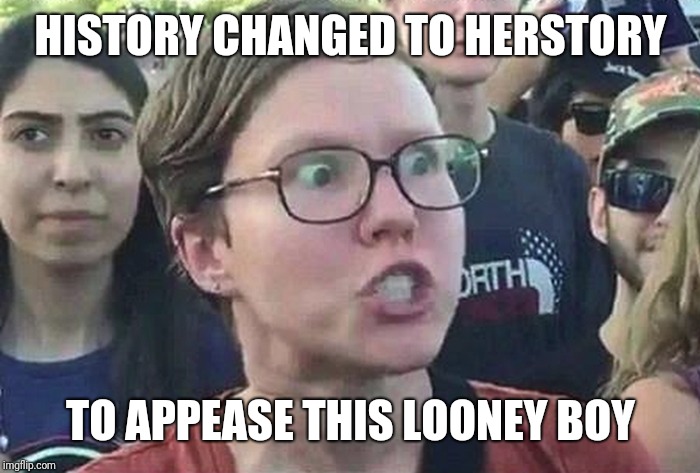 Triggered Liberal | HISTORY CHANGED TO HERSTORY TO APPEASE THIS LOONEY BOY | image tagged in triggered liberal | made w/ Imgflip meme maker