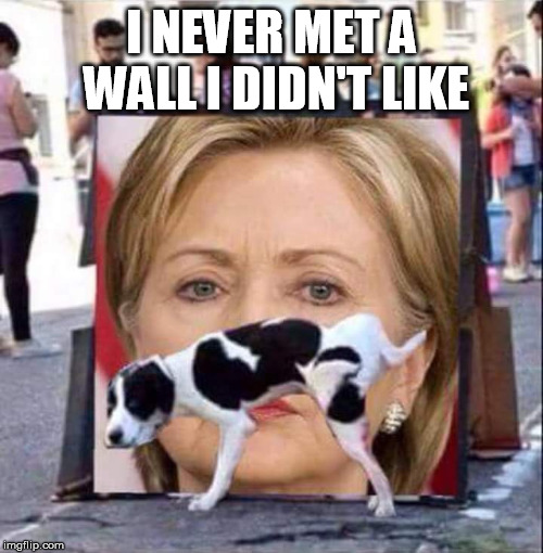 Dog Peeing On HIllary Clinton | I NEVER MET A WALL I DIDN'T LIKE | image tagged in dog peeing on hillary clinton | made w/ Imgflip meme maker
