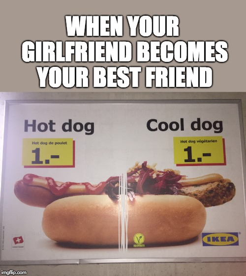 Friendzone... | WHEN YOUR GIRLFRIEND BECOMES YOUR BEST FRIEND | image tagged in ikea,hotdog,friendzone,best friend,cool dog | made w/ Imgflip meme maker