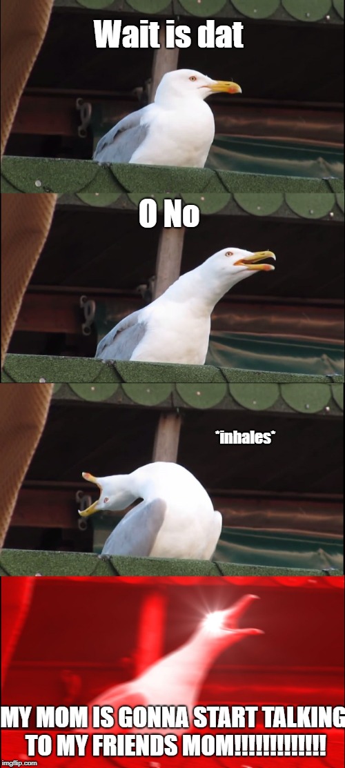 Inhaling Seagull Meme | Wait is dat; O No; *inhales*; MY MOM IS GONNA START TALKING TO MY FRIENDS MOM!!!!!!!!!!!!! | image tagged in memes,inhaling seagull | made w/ Imgflip meme maker