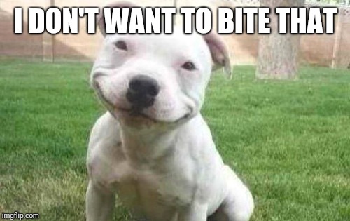 Smiling Pitbull | I DON'T WANT TO BITE THAT | image tagged in smiling pitbull | made w/ Imgflip meme maker