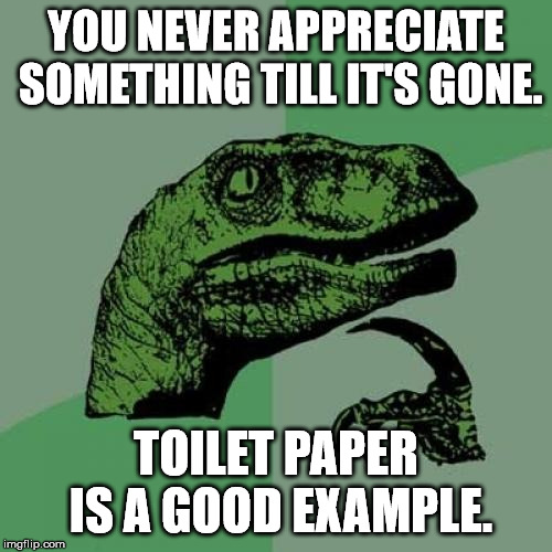 Philosoraptor | YOU NEVER APPRECIATE SOMETHING TILL IT'S GONE. TOILET PAPER IS A GOOD EXAMPLE. | image tagged in memes,philosoraptor | made w/ Imgflip meme maker