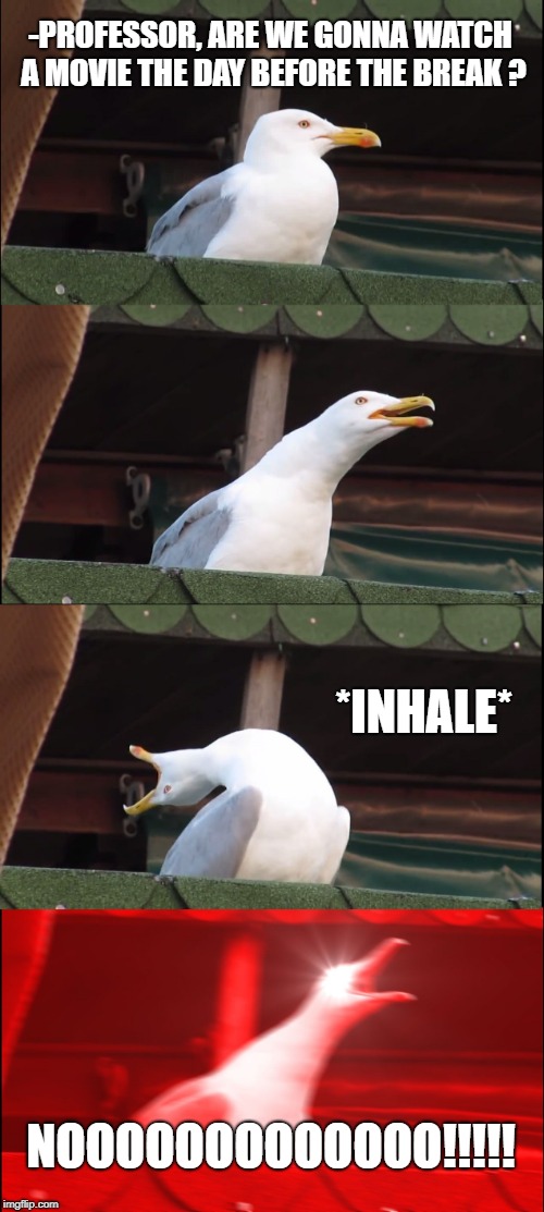 Inhaling Seagull | -PROFESSOR, ARE WE GONNA WATCH A MOVIE THE DAY BEFORE THE BREAK ? *INHALE*; NOOOOOOOOOOOOO!!!!! | image tagged in memes,inhaling seagull | made w/ Imgflip meme maker