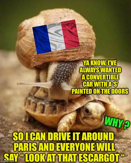 YA KNOW, I’VE ALWAYS WANTED A CONVERTIBLE CAR WITH A ‘S’ PAINTED ON THE DOORS WHY ? SO I CAN DRIVE IT AROUND PARIS AND EVERYONE WILL SAY “ L | made w/ Imgflip meme maker