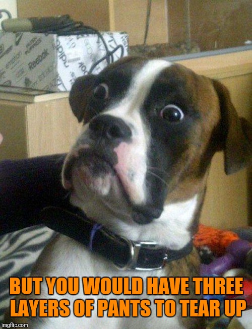 Blankie the Shocked Dog | BUT YOU WOULD HAVE THREE LAYERS OF PANTS TO TEAR UP | image tagged in blankie the shocked dog | made w/ Imgflip meme maker