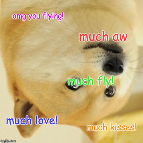 Doge | omg you flying! much aw; much fly! much love! much kisses! | image tagged in memes,doge | made w/ Imgflip meme maker