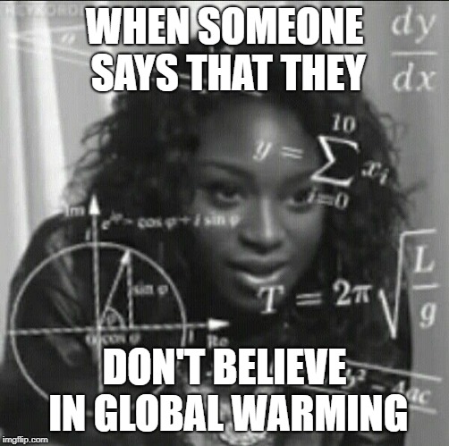 WHEN SOMEONE SAYS THAT THEY; DON'T BELIEVE IN GLOBAL WARMING | image tagged in normani kordei,confused,wtf,global warming,disbelief,never again | made w/ Imgflip meme maker