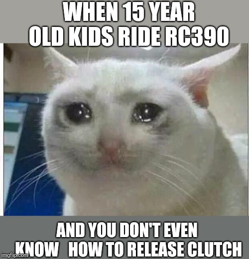 crying cat | WHEN 15 YEAR OLD KIDS RIDE RC390; AND YOU DON'T EVEN KNOW 

HOW TO RELEASE CLUTCH | image tagged in crying cat | made w/ Imgflip meme maker
