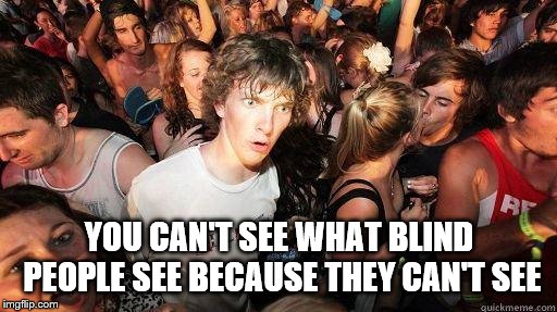 Sudden Realization | YOU CAN'T SEE WHAT BLIND PEOPLE SEE BECAUSE THEY CAN'T SEE | image tagged in sudden realization | made w/ Imgflip meme maker