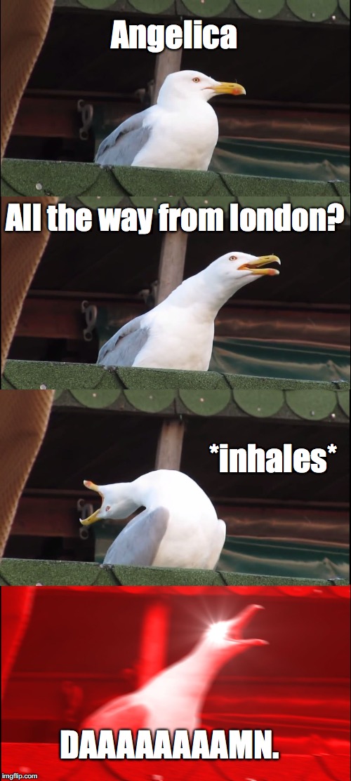 Inhaling Seagull Meme | Angelica; All the way from london? *inhales*; DAAAAAAAAMN. | image tagged in memes,inhaling seagull | made w/ Imgflip meme maker