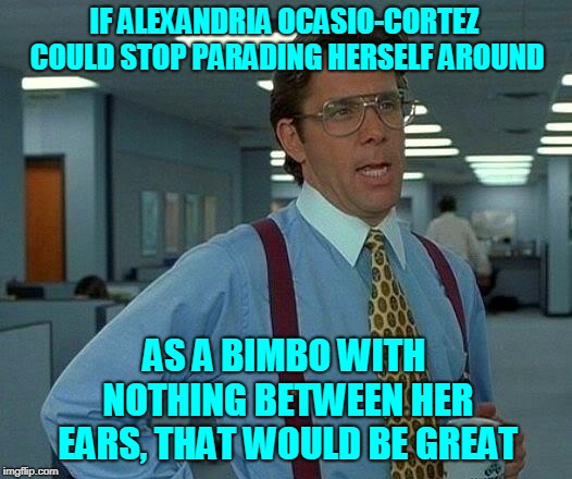 They're already doing it.... Watch the Washington Post interview!... | IF ALEXANDRIA OCASIO-CORTEZ COULD STOP PARADING HERSELF AROUND; AS A BIMBO WITH NOTHING BETWEEN HER EARS, THAT WOULD BE GREAT | image tagged in memes,that would be great,politics,alexandria ocasio-cortez,make america great again,make alexandria go away | made w/ Imgflip meme maker