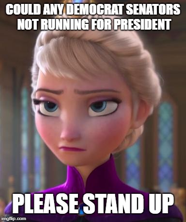 Seriously face  | COULD ANY DEMOCRAT SENATORS NOT RUNNING FOR PRESIDENT; PLEASE STAND UP | image tagged in seriously face | made w/ Imgflip meme maker