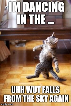 Walking Cat | IM DANCING IN THE ... UHH WUT FALLS FROM THE SKY AGAIN | image tagged in walking cat | made w/ Imgflip meme maker