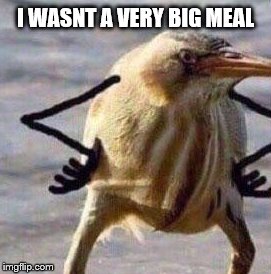 I WASNT A VERY BIG MEAL | made w/ Imgflip meme maker