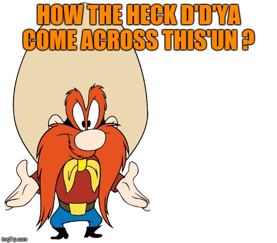 HOW THE HECK D'D'YA COME ACROSS THIS'UN ? | image tagged in yosemite sam | made w/ Imgflip meme maker