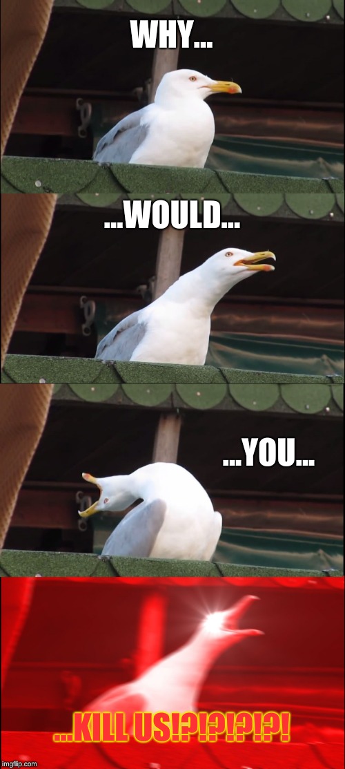 Inhaling Seagull Meme | WHY... ...WOULD... ...YOU... ...KILL US!?!?!?!?! | image tagged in memes,inhaling seagull | made w/ Imgflip meme maker
