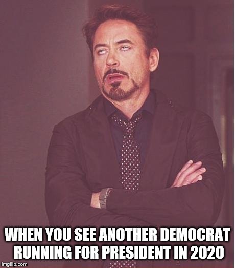 Face You Make Robert Downey Jr Meme | WHEN YOU SEE ANOTHER DEMOCRAT RUNNING FOR PRESIDENT IN 2020 | image tagged in memes,face you make robert downey jr | made w/ Imgflip meme maker