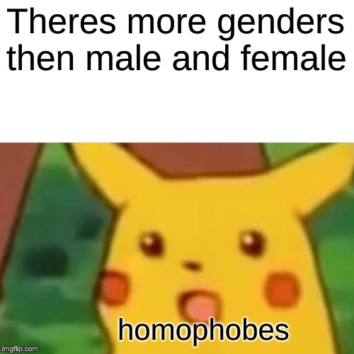 Surprised Pikachu Meme | Theres more genders then male and female; homophobes | image tagged in memes,surprised pikachu | made w/ Imgflip meme maker