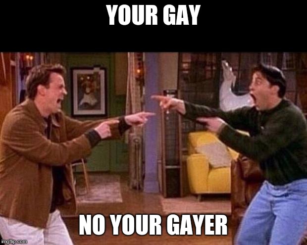 friends | YOUR GAY; NO YOUR GAYER | image tagged in friends | made w/ Imgflip meme maker
