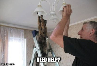 Memes, Cats, Cat changing light bulb | NEED HELP? | image tagged in memes cats cat changing light bulb | made w/ Imgflip meme maker