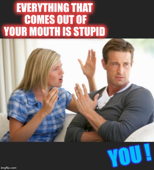 DON’T TRY THIS AT HOME !! | EVERYTHING THAT COMES OUT OF YOUR MOUTH IS STUPID; YOU ! | image tagged in come back,insult,couple arguing,marital bliss,funny | made w/ Imgflip meme maker