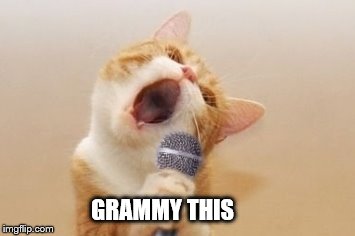 grammy this | GRAMMY THIS | image tagged in funny cat,grammy award,funny cats,funny meme,meme,memes | made w/ Imgflip meme maker