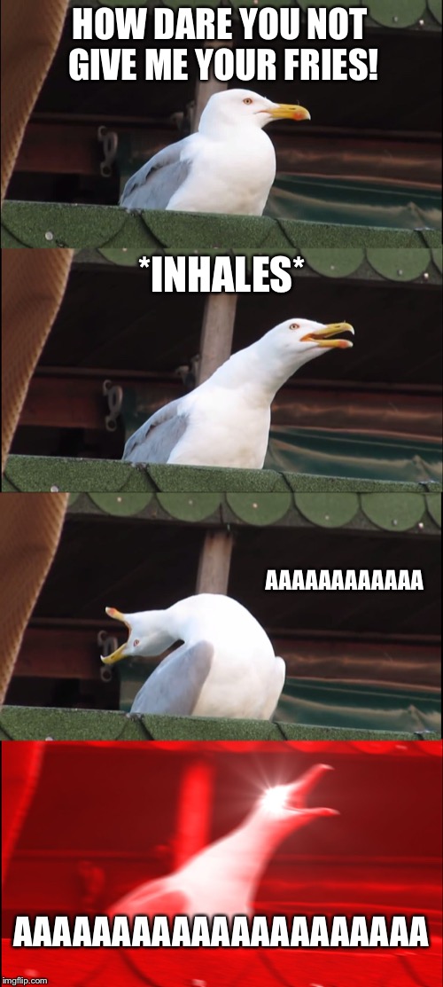 Inhaling Seagull Meme | HOW DARE YOU NOT GIVE ME YOUR FRIES! *INHALES*; AAAAAAAAAAAA; AAAAAAAAAAAAAAAAAAAAA | image tagged in memes,inhaling seagull | made w/ Imgflip meme maker