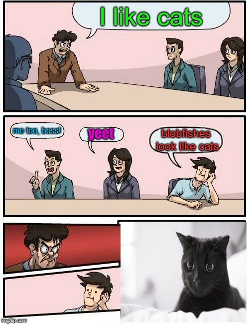 Boardroom Meeting Suggestion Meme | I like cats; me too, boss! yeet; blobfishes look like cats | image tagged in memes,boardroom meeting suggestion | made w/ Imgflip meme maker