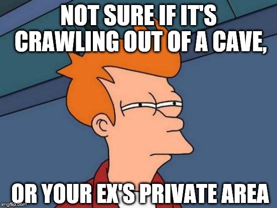 Futurama Fry Meme | NOT SURE IF IT'S CRAWLING OUT OF A CAVE, OR YOUR EX'S PRIVATE AREA | image tagged in memes,futurama fry | made w/ Imgflip meme maker