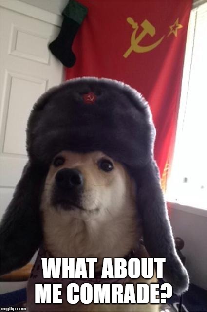 communist dog | WHAT ABOUT ME COMRADE? | image tagged in communist dog | made w/ Imgflip meme maker