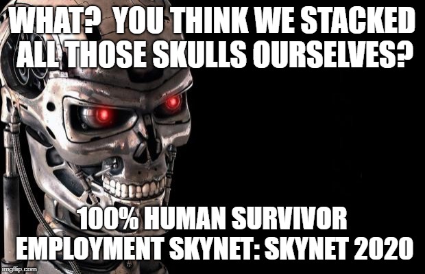 Terminator | WHAT?  YOU THINK WE STACKED ALL THOSE SKULLS OURSELVES? 100% HUMAN SURVIVOR EMPLOYMENT
SKYNET: SKYNET 2020 | image tagged in terminator | made w/ Imgflip meme maker