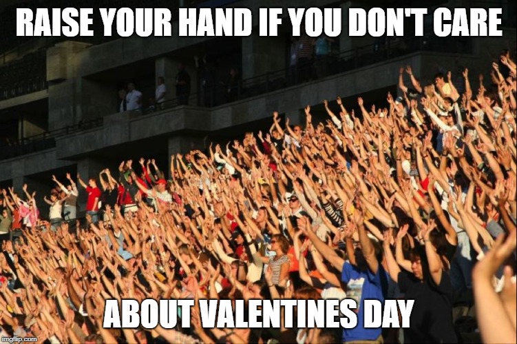 Raise your hands crowd | RAISE YOUR HAND IF YOU DON'T CARE; ABOUT VALENTINES DAY | image tagged in raise your hands crowd | made w/ Imgflip meme maker