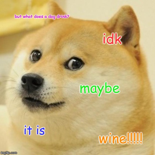 Doge Meme | but what does a dog drink? idk maybe it is wine!!!!! | image tagged in memes,doge | made w/ Imgflip meme maker