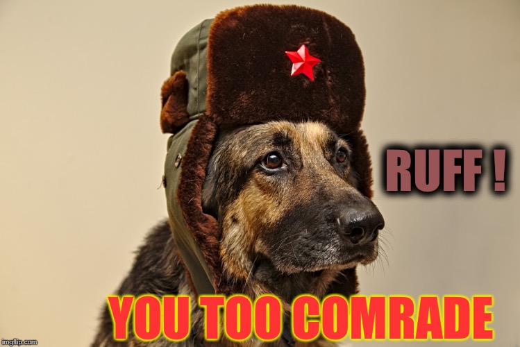 Soviet Dog | RUFF ! YOU TOO COMRADE | image tagged in soviet dog | made w/ Imgflip meme maker