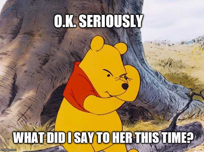 What Did Say This Time?
 | O.K. SERIOUSLY; WHAT DID I SAY TO HER THIS TIME? | image tagged in winnie the pooh,think,what did i do | made w/ Imgflip meme maker
