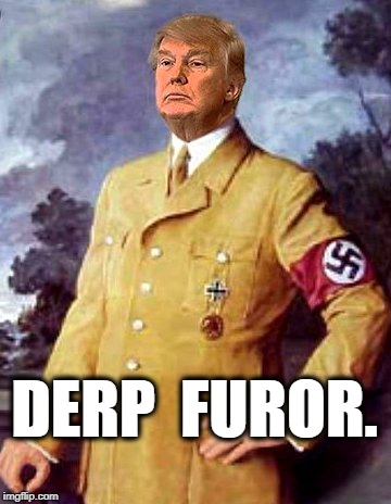 Derp Furor | DERP  FUROR. | image tagged in donald trump,hitler | made w/ Imgflip meme maker