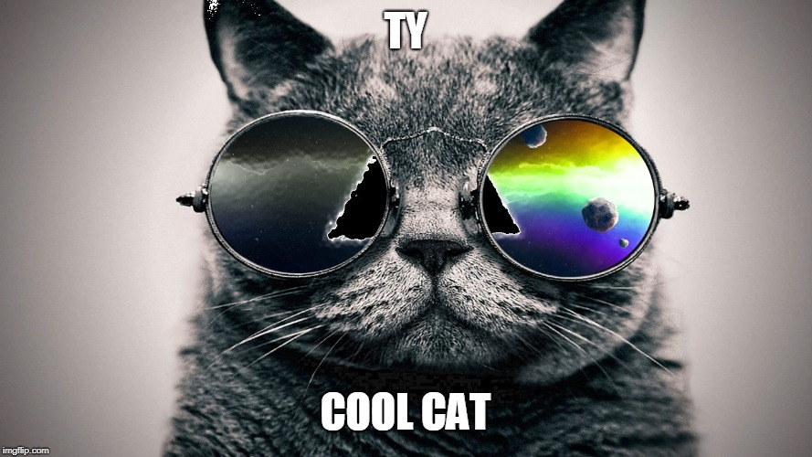 Cool Cat | TY COOL CAT | image tagged in cool cat | made w/ Imgflip meme maker