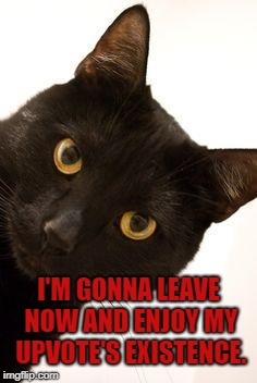 Black Cat being catty | I'M GONNA LEAVE NOW AND ENJOY MY UPVOTE'S EXISTENCE. | image tagged in black cat being catty | made w/ Imgflip meme maker