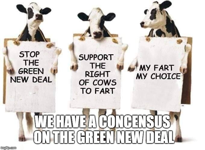 cows will fart | WE HAVE A CONCENSUS ON THE GREEN NEW DEAL | image tagged in politics,climate change | made w/ Imgflip meme maker
