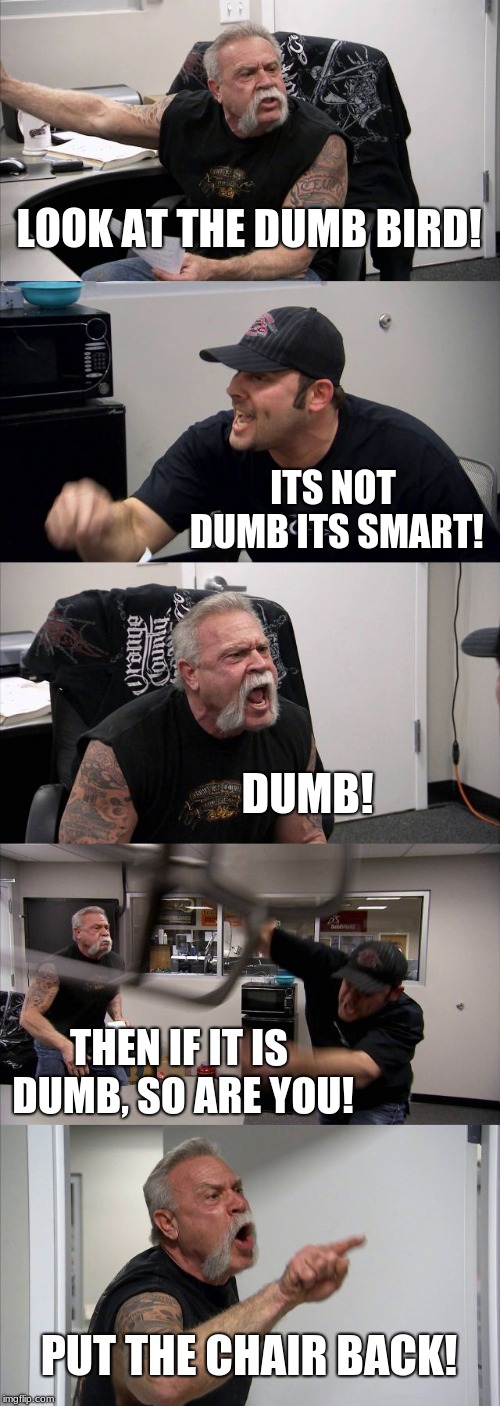 American Chopper Argument | LOOK AT THE DUMB BIRD! ITS NOT DUMB ITS SMART! DUMB! THEN IF IT IS DUMB, SO ARE YOU! PUT THE CHAIR BACK! | image tagged in memes,american chopper argument | made w/ Imgflip meme maker