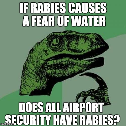 Does airport security have rabies? | IF RABIES CAUSES A FEAR OF WATER; DOES ALL AIRPORT SECURITY HAVE RABIES? | image tagged in memes,philosoraptor,funny,airport security | made w/ Imgflip meme maker