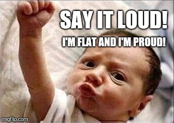SAY IT LOUD! I'M FLAT AND I'M PROUD! | image tagged in flat earth | made w/ Imgflip meme maker