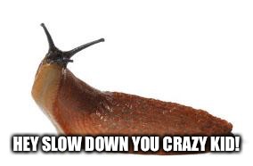 slug life | HEY SLOW DOWN YOU CRAZY KID! | image tagged in slug life | made w/ Imgflip meme maker