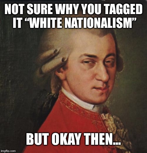 Mozart Not Sure Meme | NOT SURE WHY YOU TAGGED IT “WHITE NATIONALISM” BUT OKAY THEN... | image tagged in memes,mozart not sure | made w/ Imgflip meme maker