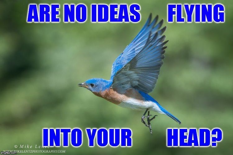 ARE NO IDEAS       FLYING INTO YOUR         HEAD? | made w/ Imgflip meme maker