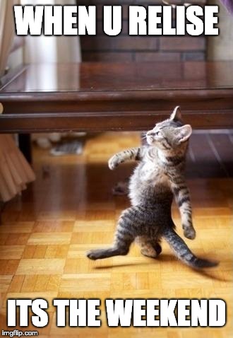 Cool Cat Stroll | WHEN U RELISE; ITS THE WEEKEND | image tagged in memes,cool cat stroll | made w/ Imgflip meme maker