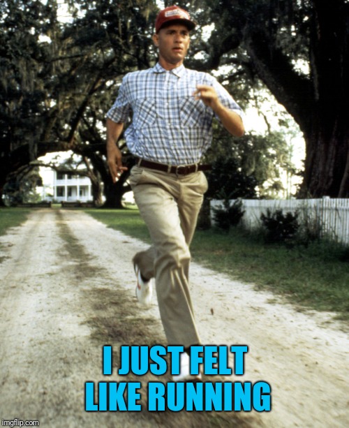 Forrest Running | I JUST FELT LIKE RUNNING | image tagged in forrest running | made w/ Imgflip meme maker