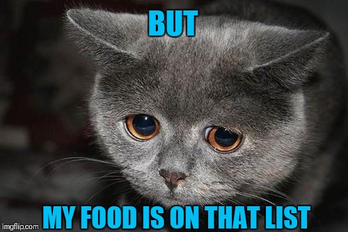 Sad cat | BUT MY FOOD IS ON THAT LIST | image tagged in sad cat | made w/ Imgflip meme maker