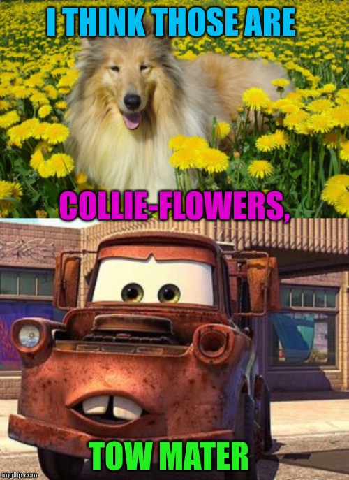 I THINK THOSE ARE TOW MATER COLLIE-FLOWERS, | made w/ Imgflip meme maker